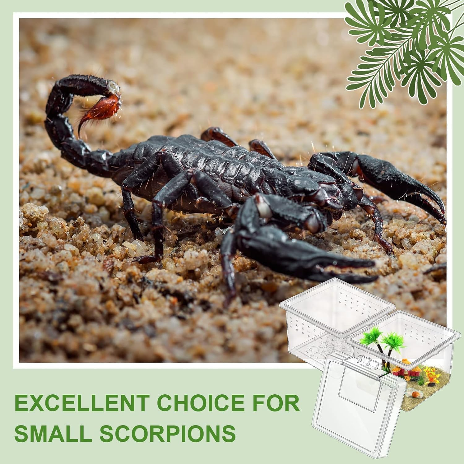 30 Pcs Insect Spider Terrariums Breeding Box, Tarantula Enclosure,Enclosures for Small Reptiles, Centipedes with Lids for Insect & Spider Breeding & Reptile Hatching(Small Size) image number 6