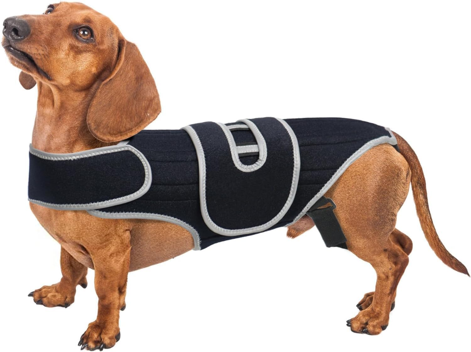 Dog Back Support Arthritis & Pain Relief, Dog Back Support for Accelerated Surgical Recovery, Dog Back Support for Preventing Back Problems in Small Dogs and Large Dogs (Black, S) image number 5