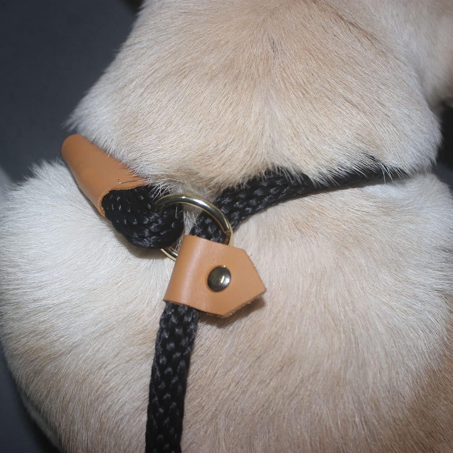 Slip Leads for Dogs 6FT, Checkcord Rope Slip Leash, No Pull Dog Rope Slip Leash, Easy to Use Leash Collar Combo Black - Beige image number 7