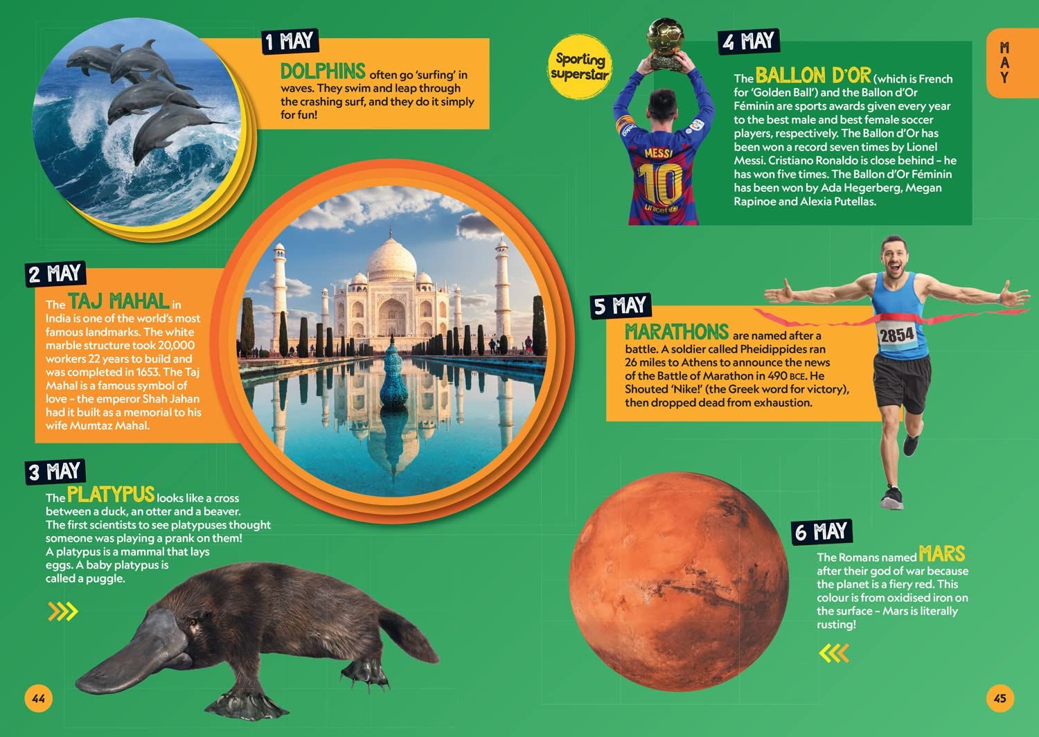 A Fact for Every Day of the Year: 365 Facts to Make You Say Wow! image number 6