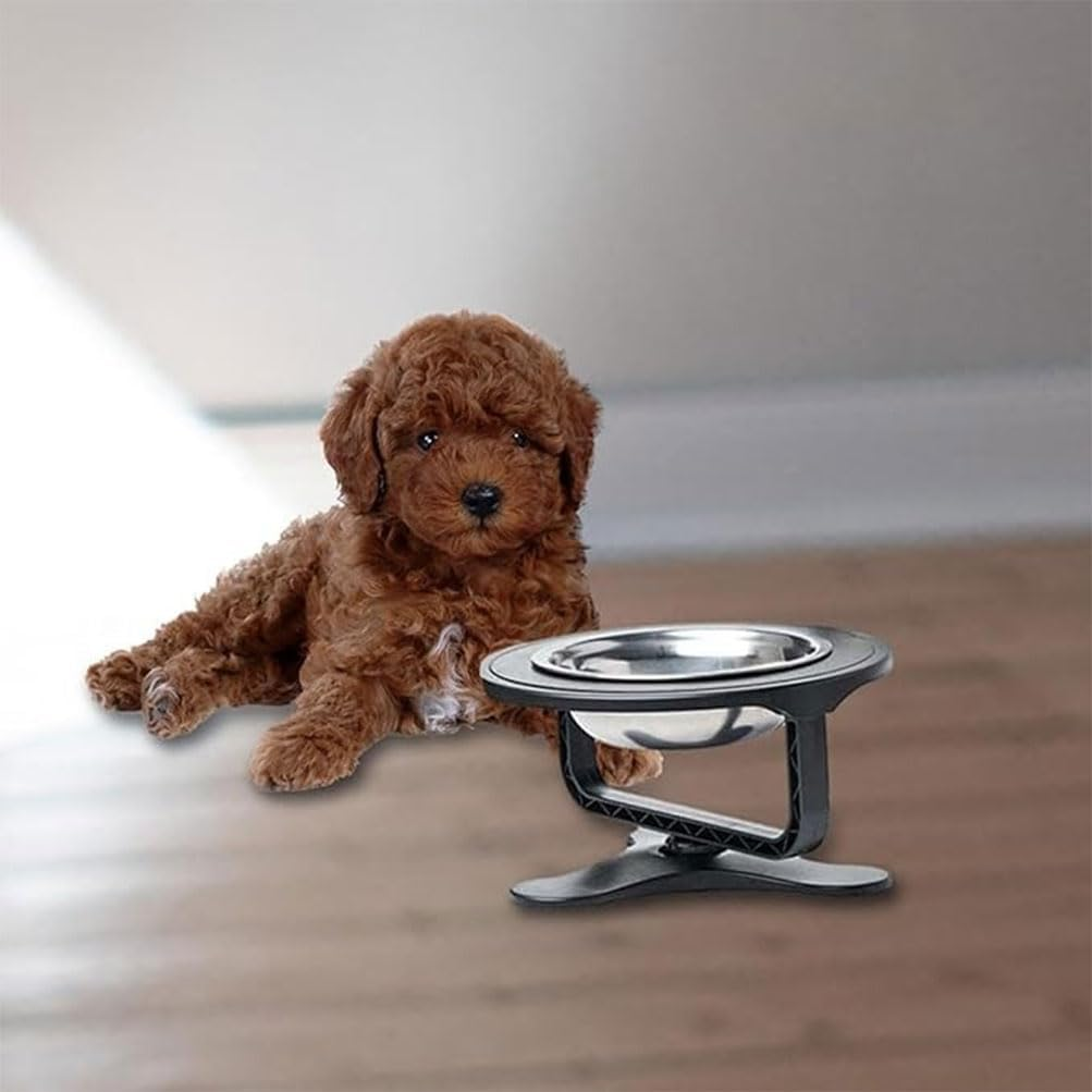 Dog Bowl Holder Height Adjustable Dog Bowl 0 to 20 Degree Tilted Neck Protection Pet Bowl Non-Slip Dog Feeder for Small Dogs Cats Pets Dry and Wet Food (2 Pcs) image number 6