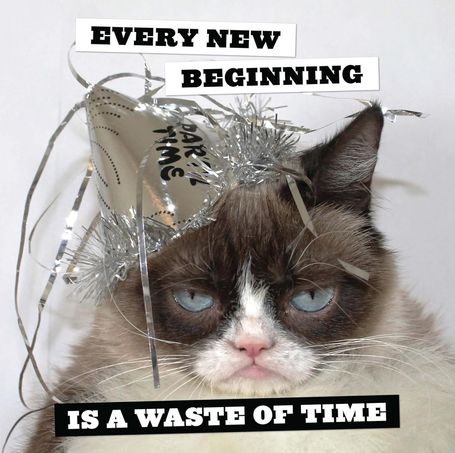 Grumpy Cat 2025 Wall Calendar image number 1