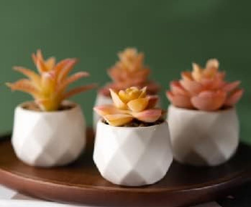 Viverie Autumn Orange Artificial Succulent Plants in White Ceramic Pots for Aesthetic Fall Decor, Fireplace Decor, Fall Office Decoration, Office Gifts, Living Room - Faux Plant Included (Set of 4)