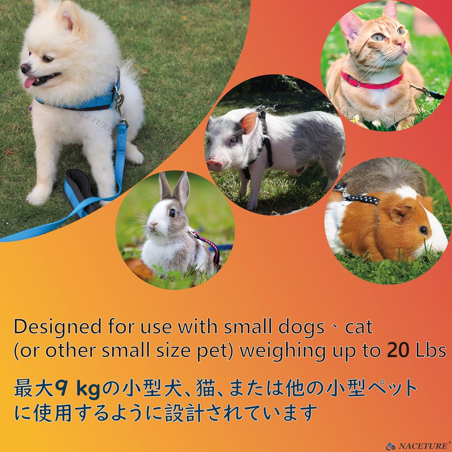 Stainless Steel Dog Tie Out Stake - Heavy Duty Anchor for Outside, Yard, Camping - Free Swivel for Small Dogs up to 20 Lbs (12 Inch)