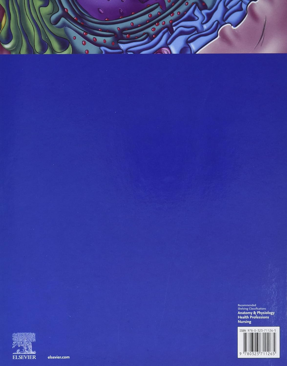 The Human Body in Health and Illness image number 3