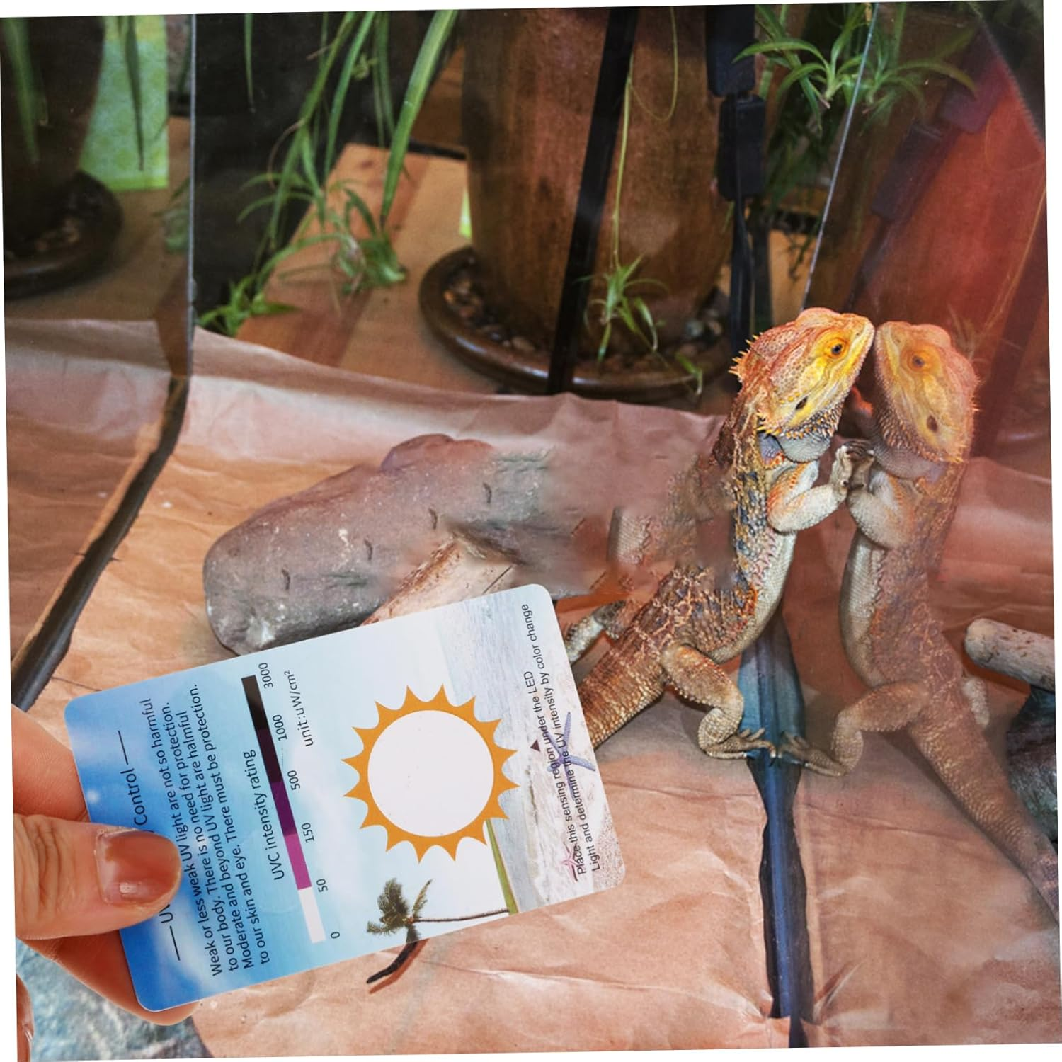 SUPVOX 10Pcs UV Test Strips - Light Bulb Tester, Sun Terrarium Testing Cards, UV Identifying Cards image number 3