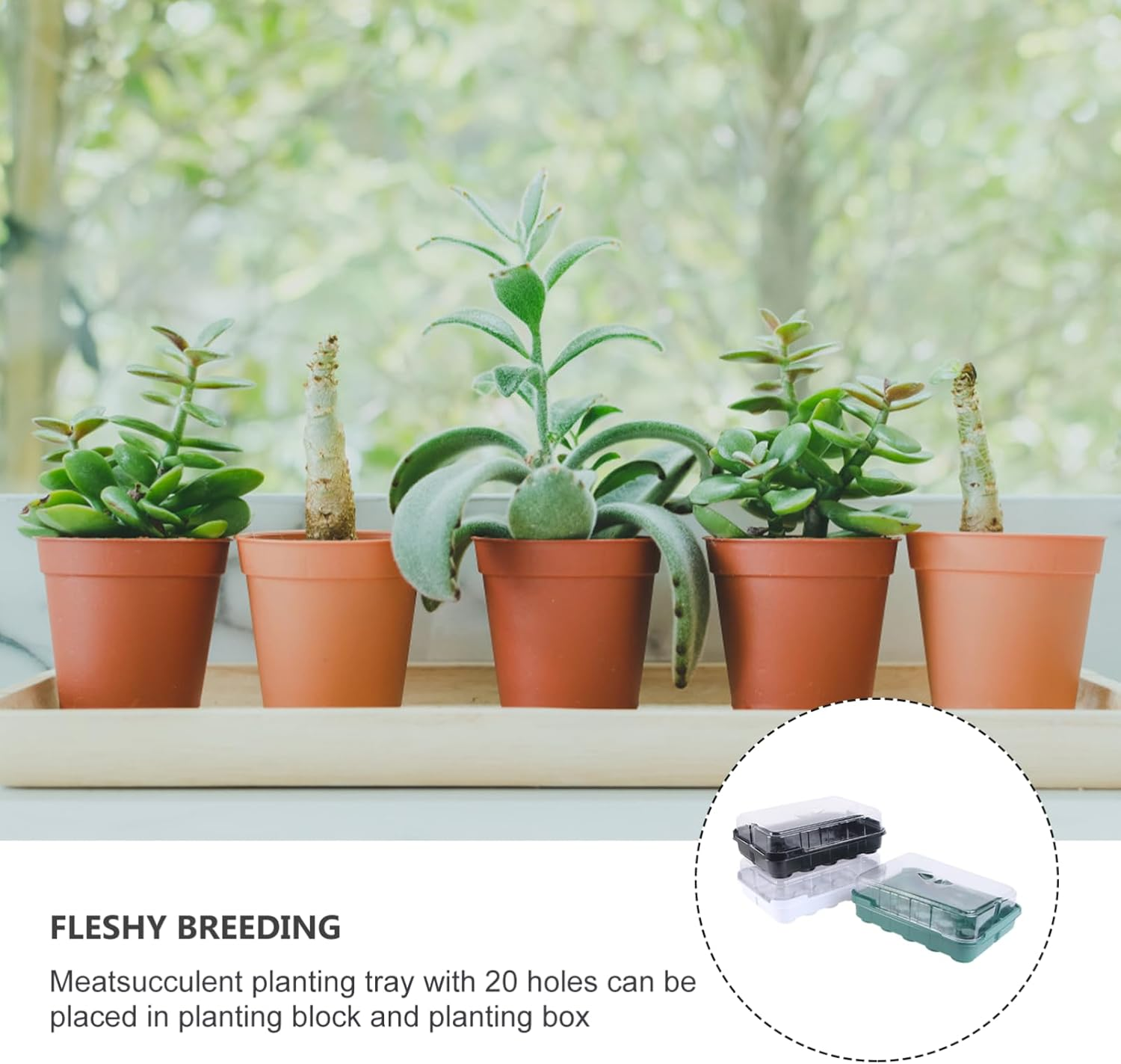 3 Sets Seedling Tray Hydroponic Grow Tray for Garden for Planting Seeds and Sprouting Kit image number 4