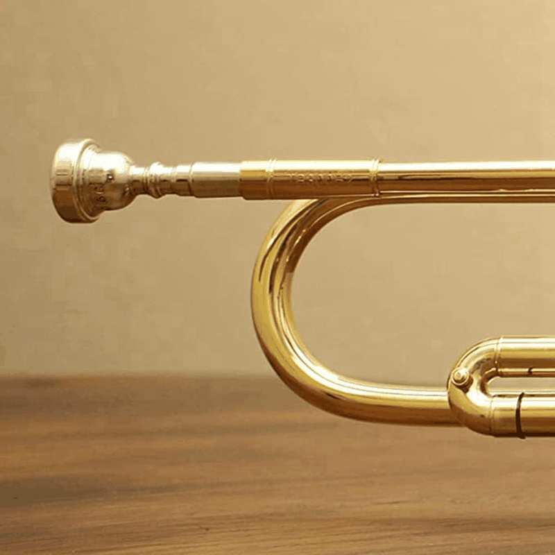 3 Pack Trumpet Mouthpiece Accessories Trumpet Mouthpiece 3C 5C 7C Trumpet for Beginners (Gold) image number 0