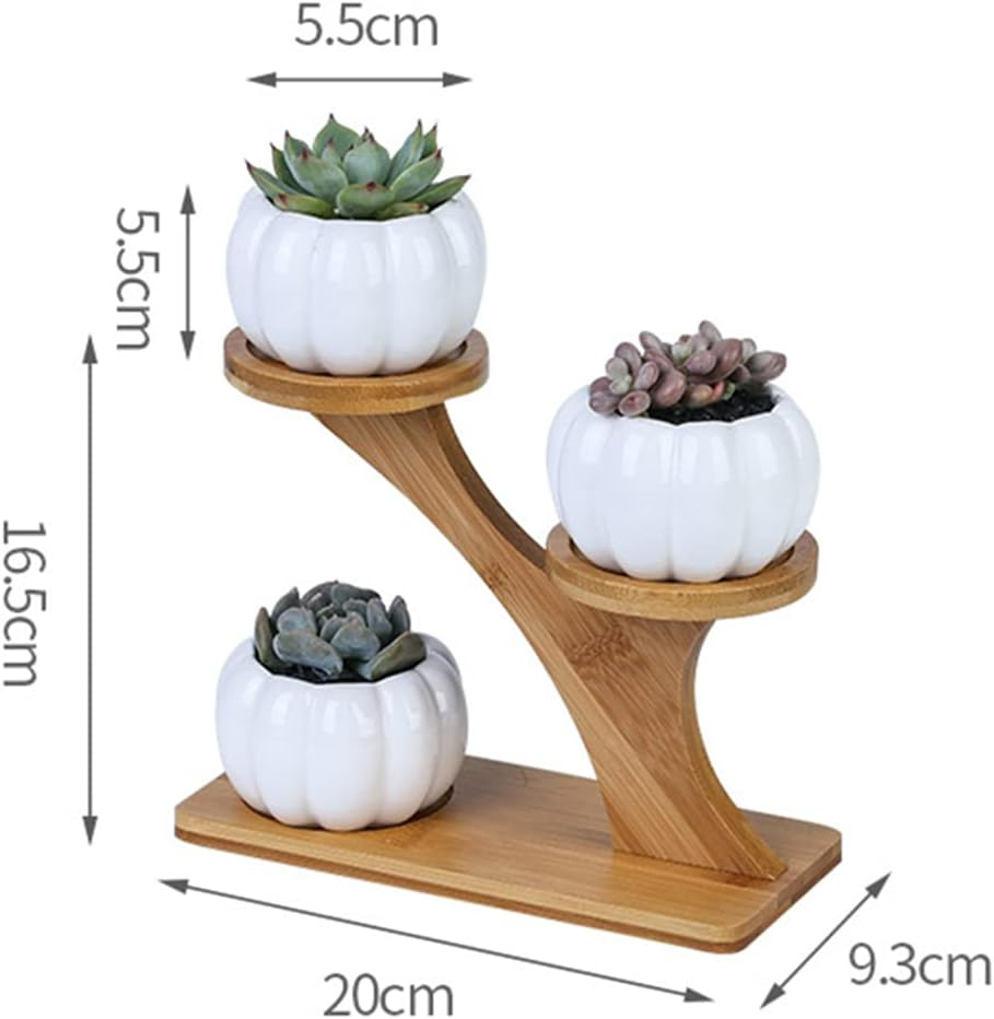 3Pcs Pumpkin Succulent Pots Bamboo Wood Shelf Flower Pot Stand Holder, Modern Minimalist White Ceramic Succulent Planter Pot for Office, Desk, House Balcony（Flower Pot Not Included） image number 2