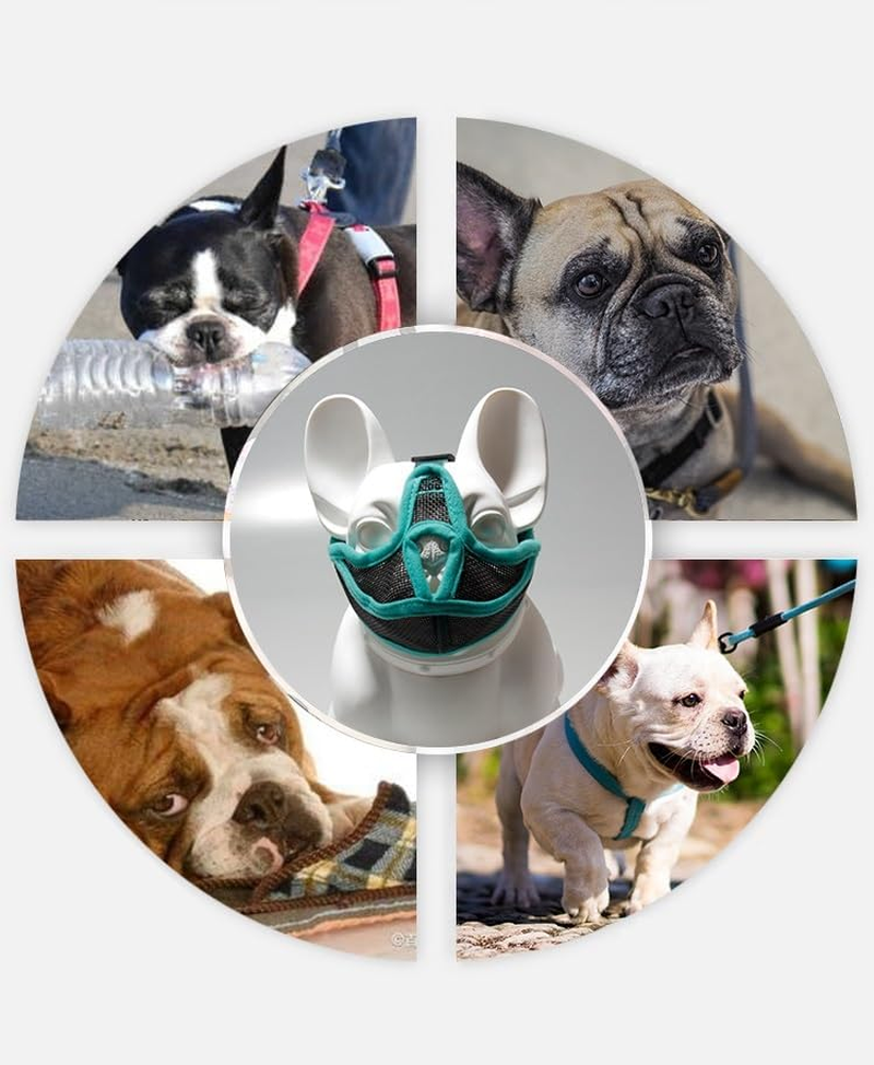 Short Snout Dog Muzzle, Won&rsquo;T Cover Forehead Bulldog Muzzle Adjustable Breathe Mesh, anti Bitting Chewing Barking (Green, XL) image number 3