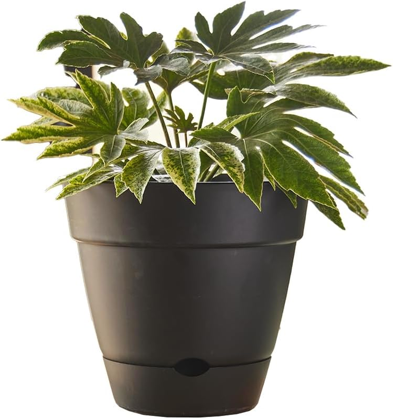 Northcote Pottery Leonard Self-Watering Pot, 31 X 27 Cm Size, Green