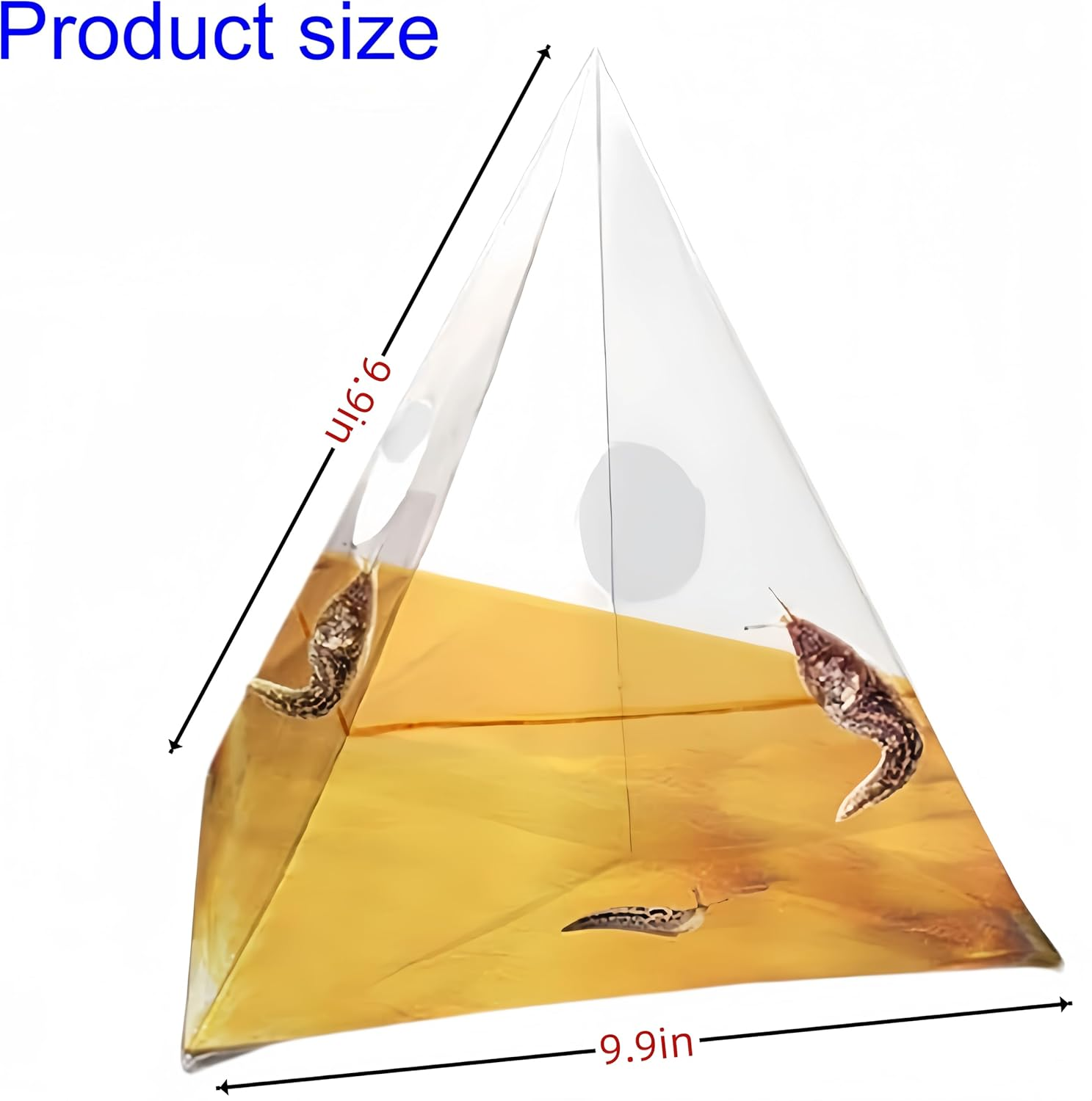 20 Pcs Snail Bait Reusable Snail Traps for Garden Pet image number 4