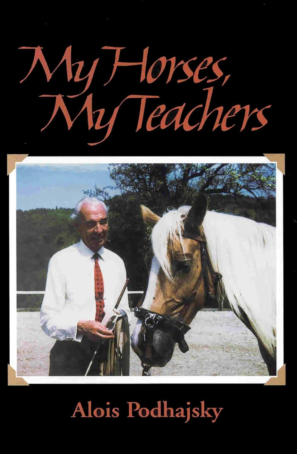 My Horses, My Teachers: in Search of Feel and Connection with the Horse image number 1