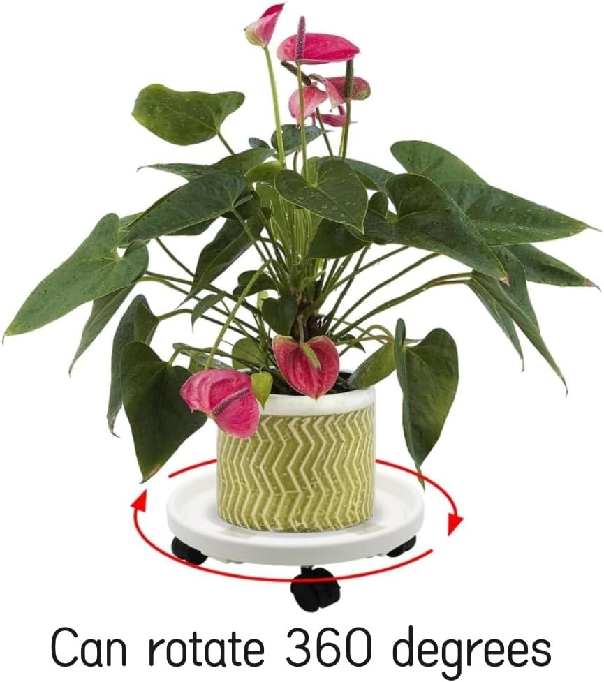 2Pakcs Plant Stand with Wheels 12.2" Rolling Plant Stand-Plastic Plant Water Catcher Tray Plant Caddy with Wheels Heavy Duty,Plant Dolly Plant Saucer with Wheels Indoor Outdoor,Gray image number 5