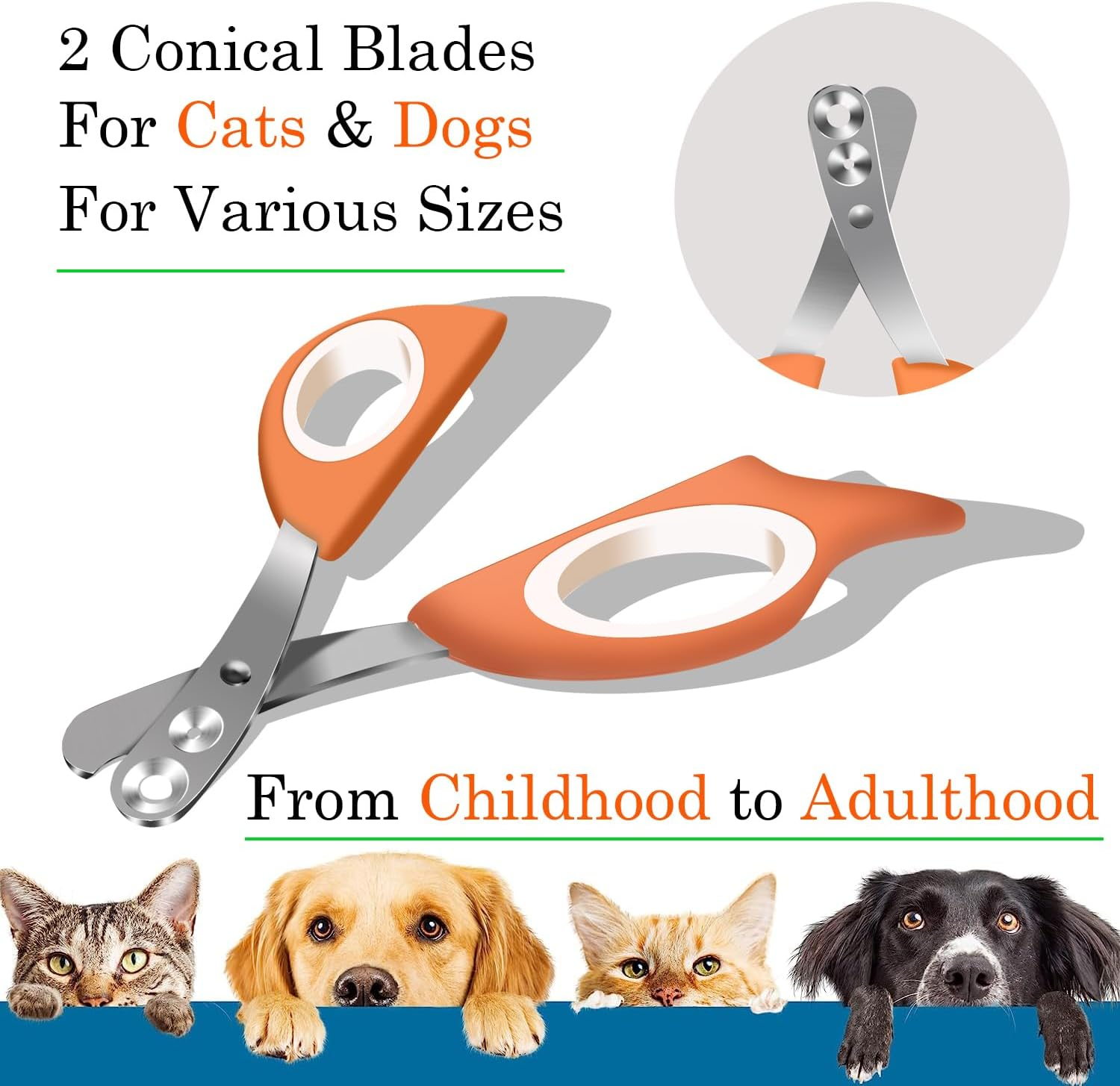 IFAN&trade; 2 Hole Claw Clippers for Different Age Pet Nail Clippers for Cats Can Avoid Cutting Blood Lines image number 4