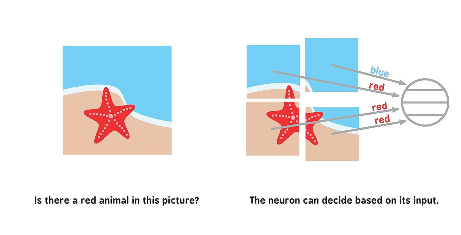 Neural Networks for Babies image number 1
