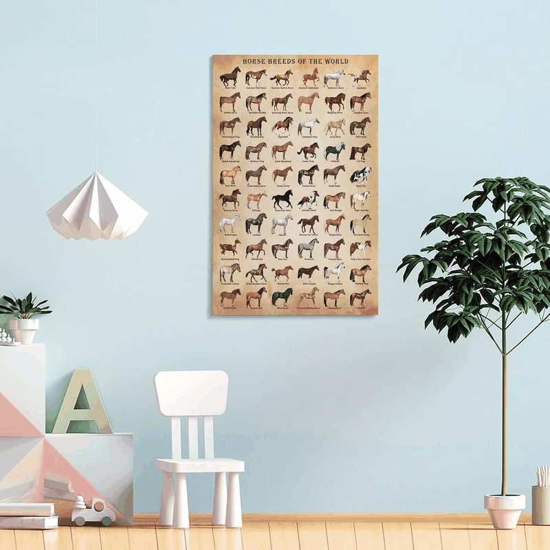 Horse Knowledge Horse Breeds of the World Poster Framed 12X16Inch