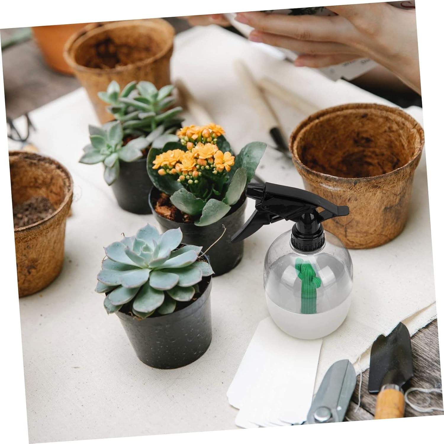 Watering Can Tool Indoor Plants Watering Sprayer Weed Sprayer Gardening Spray Bottle - White image number 4