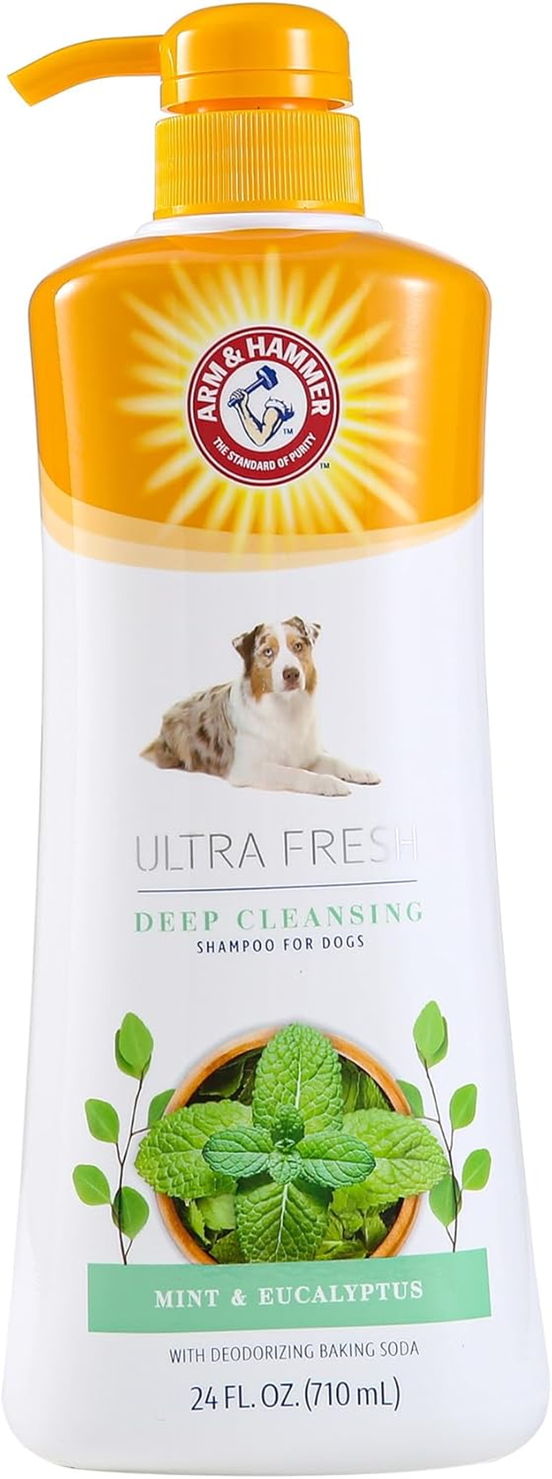 Arm & Hammer Ultra Fresh No-Rinse Deodorizing Foam with Cactus Water & Citrus FF12656, 237 Ml image number 4