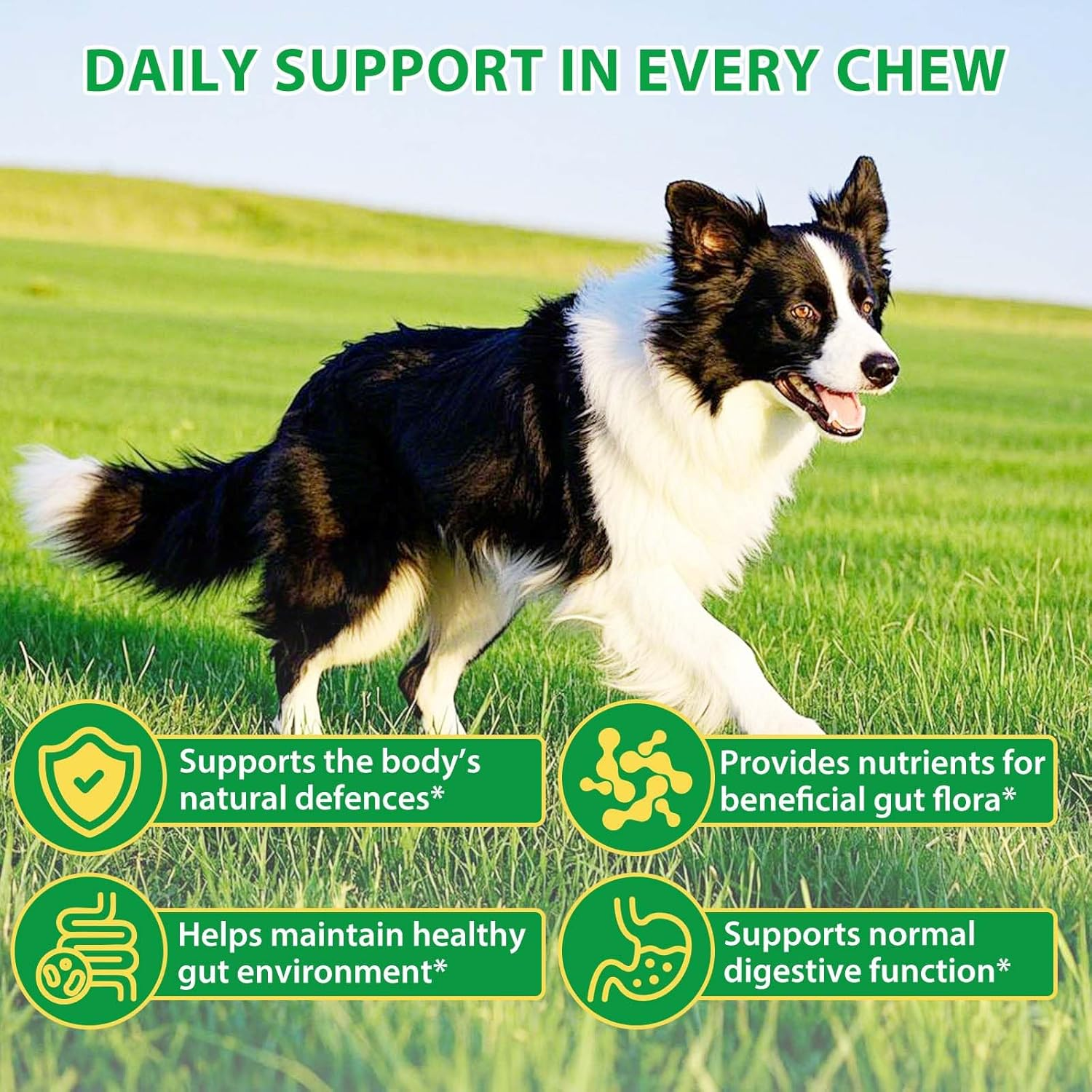 Probiotics for Dogs, Supports Gut Health, Itchy Skin, Allergies, Yeast Balance, Immunity, Probiotics and Digestive Enzymes for Small, Medium and Large Dogs, 120 Chewy Snacks, image number 3