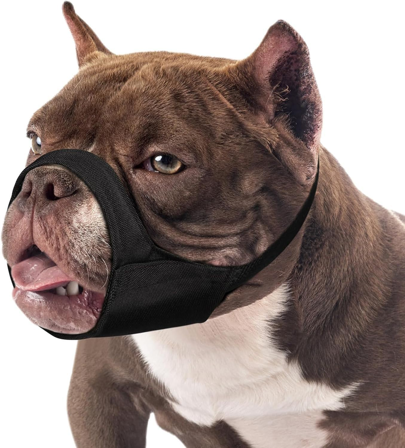 Short Snout Dog Muzzle, Small Muzzle for Chihuahua Shih Bully Boxer Puppy, Soft Fabric Muzzles for Grooming Vet Visits, Prevent Biting Chewing Fighting (Black, M) image number 1