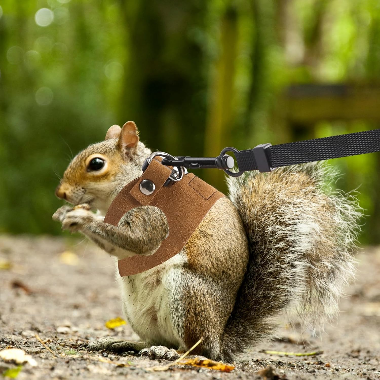 3 Size Lizard Traction Rope,Bearded Dragon Harness and Leash Set,Adjustable Harness Soft Leather Leash Lizard Reptile Traction Rope Walking Vest Accessories for Bearded Dragon,Iguana,Gecko (Brown) image number 2