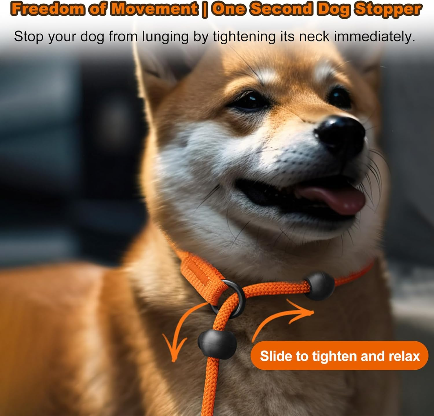 Dog Leash Slip Dog Leash Adjustable Slip Lead One-Piece Adjustable Dog Training Leash No Pull Training Lead Leashes and Collar P-Leash Pet Leash for Medium and Large Dog Orange image number 6