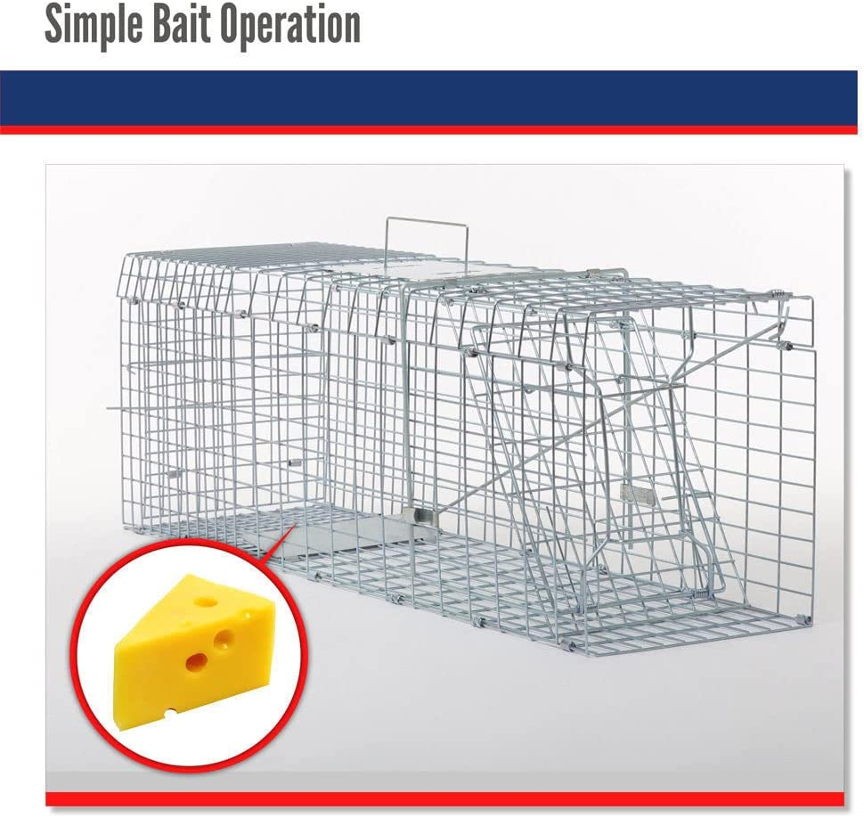 Extra Large Humane Animal Cage Trap Live Catch Possum Rabbit Cat Rat Fox Koala image number 5