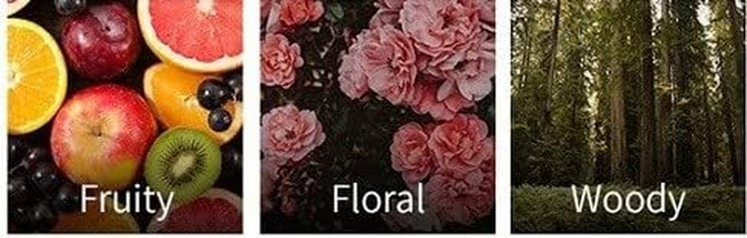 Vta LABO-H Hair Loss Symptom Relief Scalp Hair Essence Mist Pack 240Ml / 8.1 Fl Oz image number 1