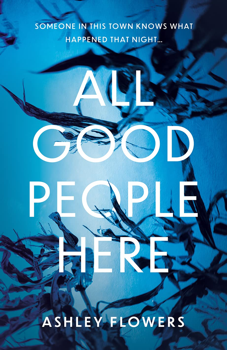 All Good People Here: the Gripping Debut Crime Thriller from the Host of the Hugely Popular #1 Podcast Crime Junkie, a No1 New York Times Bestseller image number 2