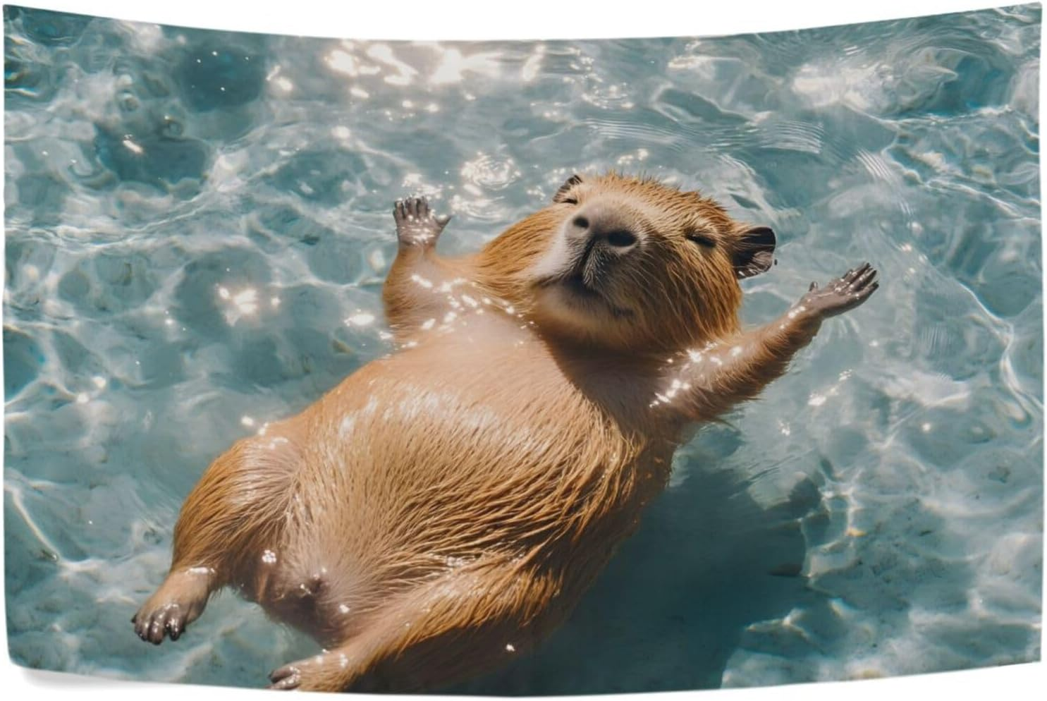 AIXIWAWA Tapestry Floating Capybara Print Wall Art Wall Decors for Bedroom Living Room 60X40 Inches image number 5