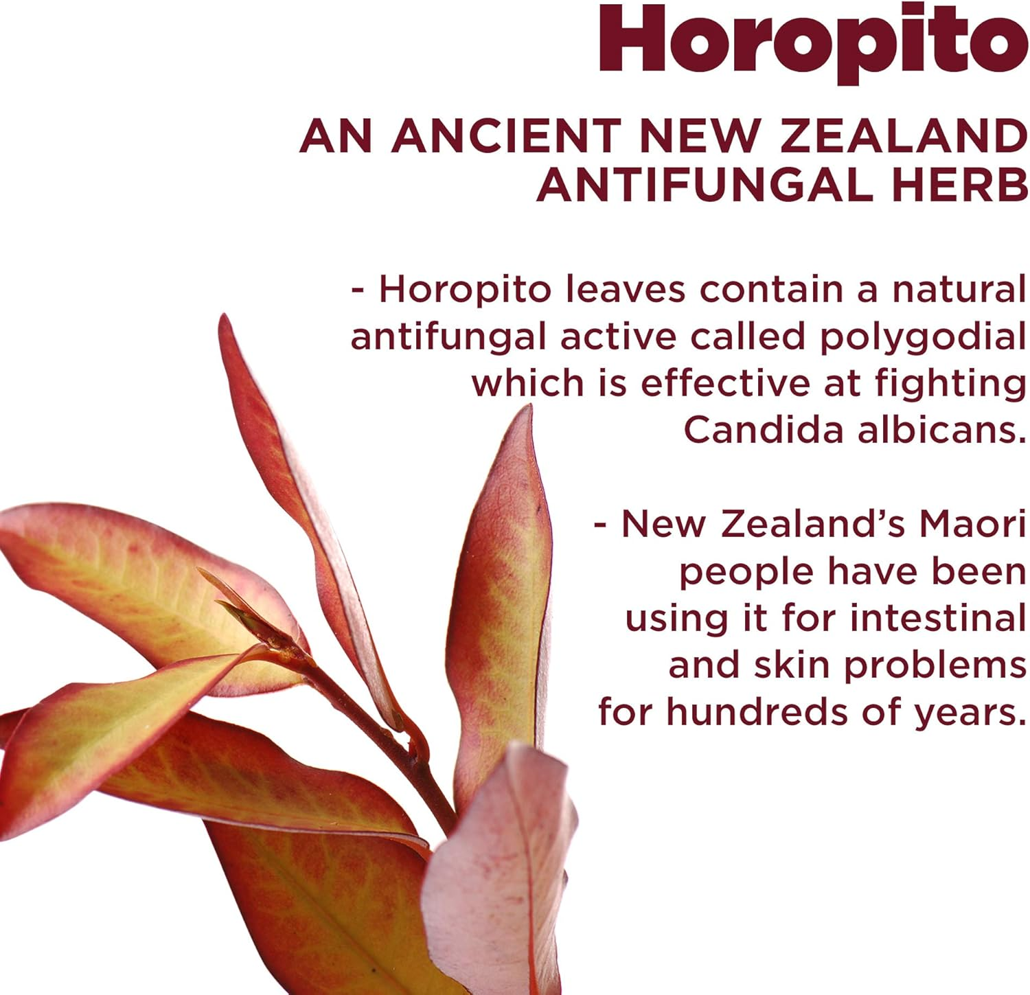 Kolorex Intimate Wash (250Ml) image number 1