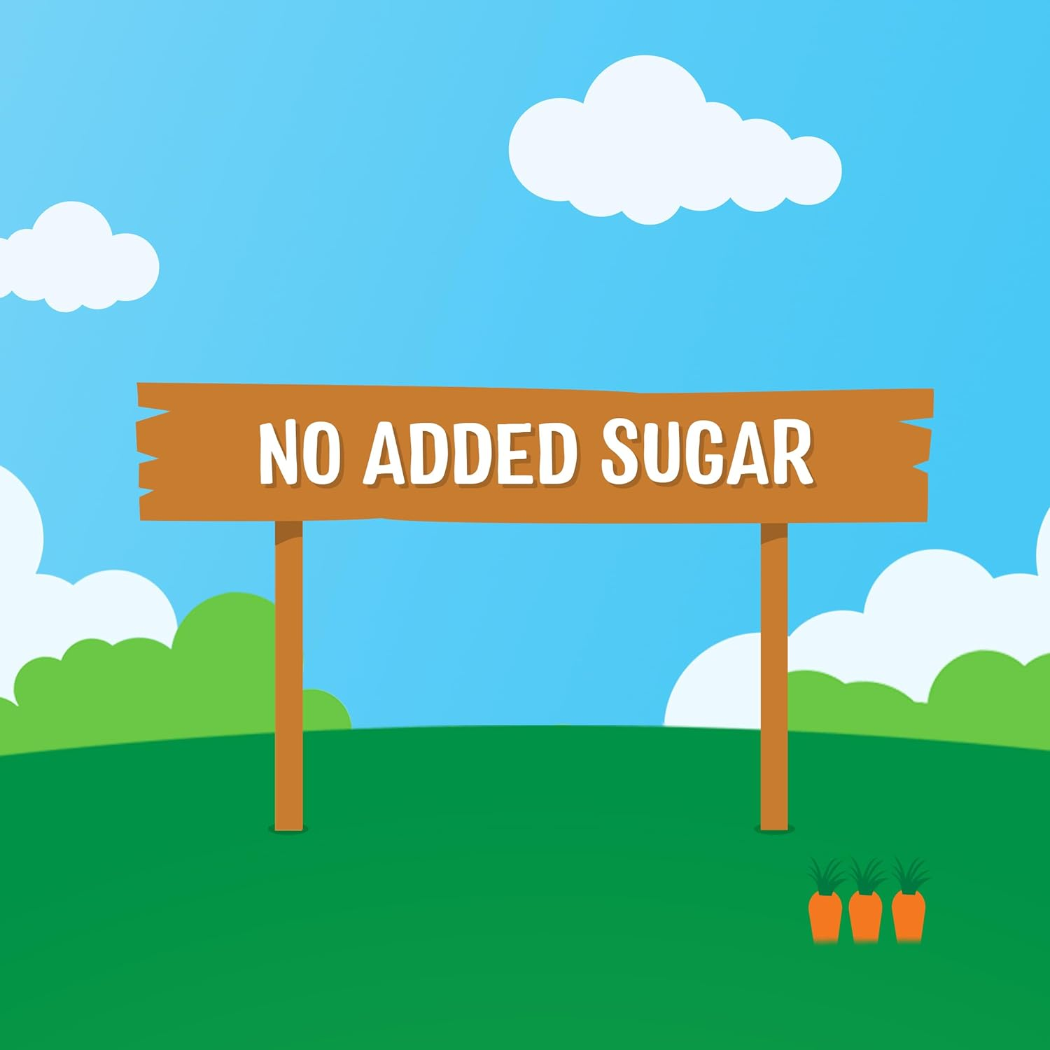 Rafferty'S Garden Coconut Green No Added Sugar Little Smoothies for 1-3 Year Old Toddlers 120G (Case of 6) image number 1