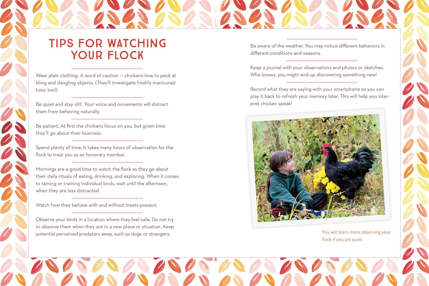 How to Speak Chicken: Why Your Chickens Do What They Do & Say What They Say image number 3