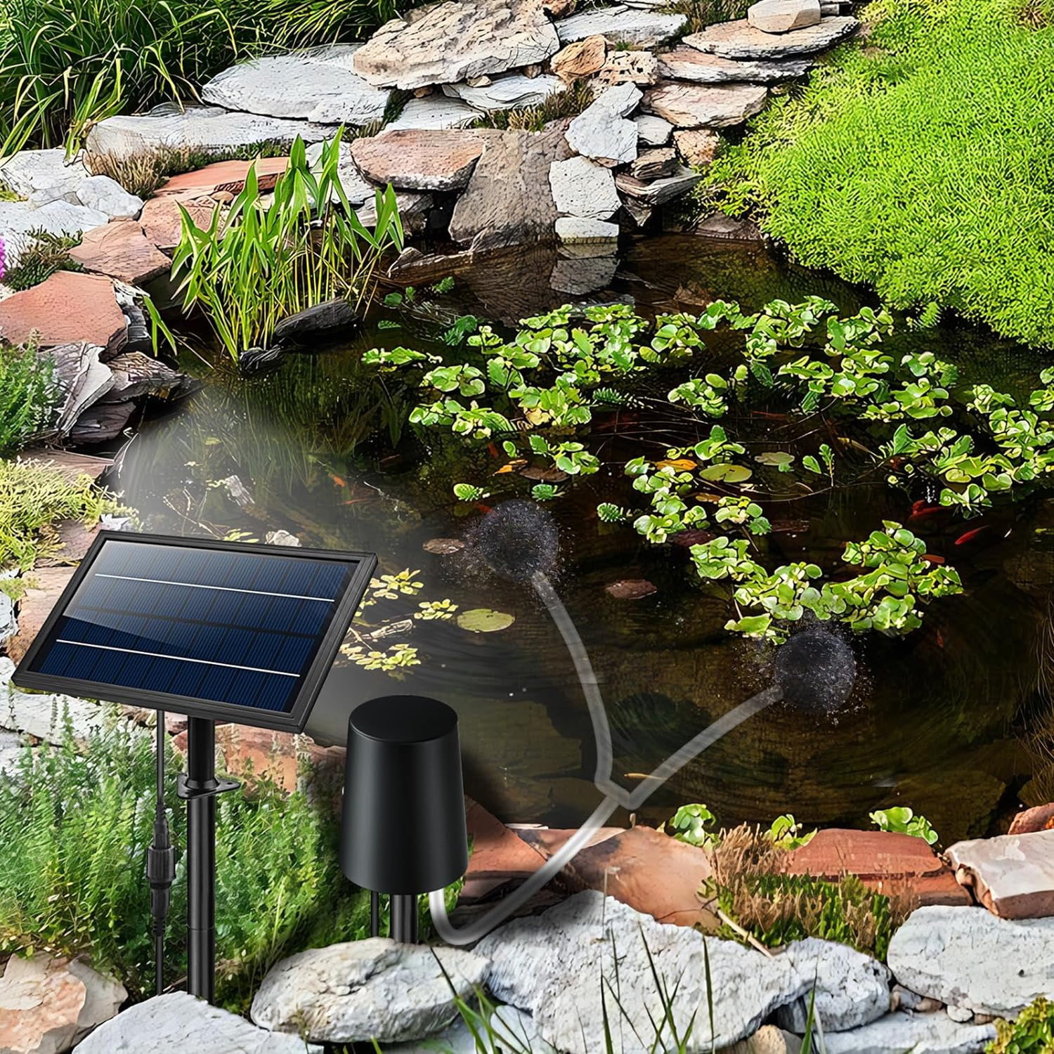 ACAGALA Solar Powered Air Pump Kit 10V 8W Solar Panel Air Pump with Pipe Air Stones 3 Working Modes Waterproof Solar Pond Aerator Oxygenator for Garden Fish Tank Pool Fishing Pond image number 3
