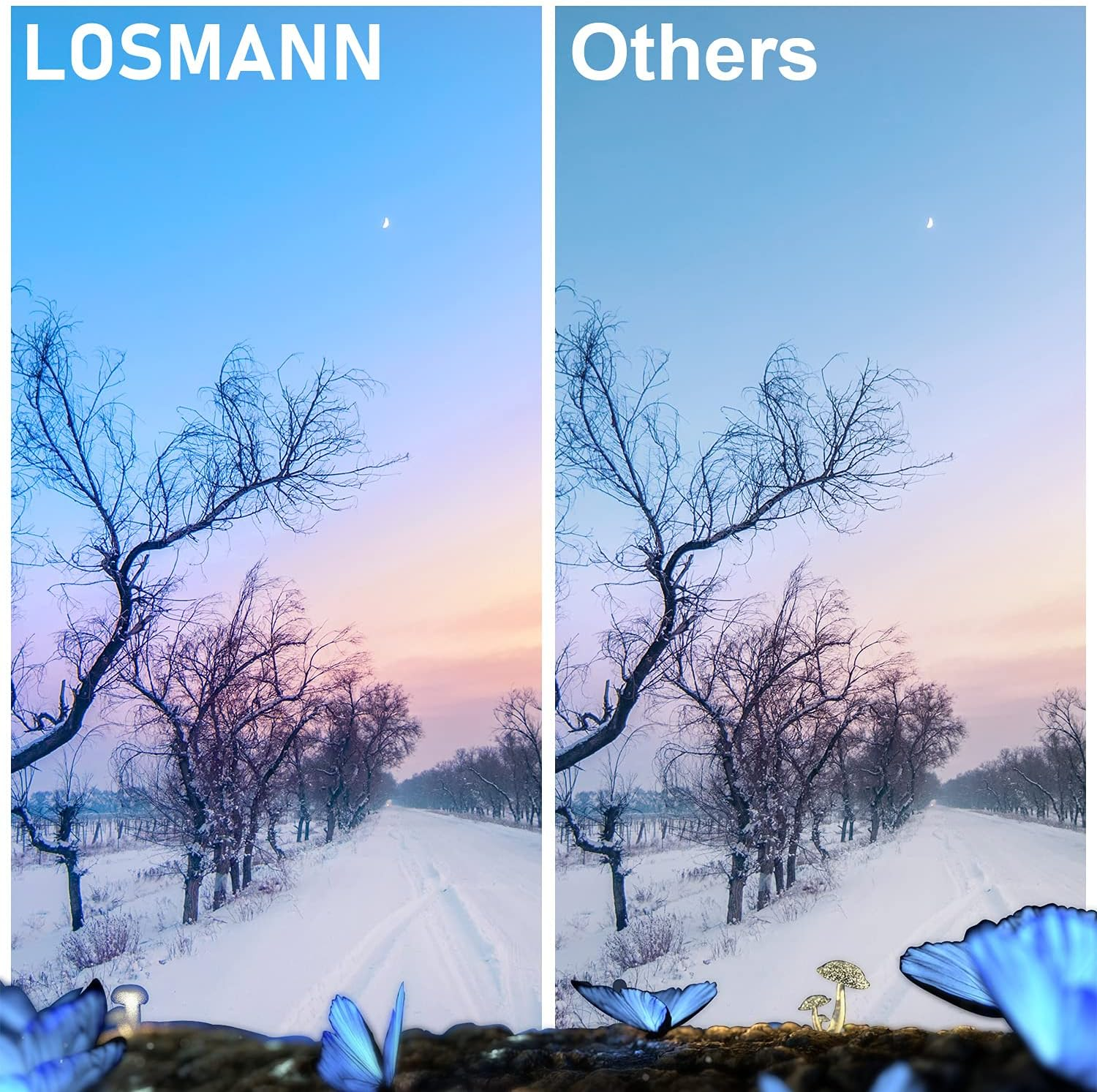 LOSMANN 1 X Cyan Toner Compatible with Brother TN-247 TN-243 for Brother MFC-L3770CDW MFC-L3750CDW HL-L3230CDW HL-L3210CW MFC-L3710CW DCP-L3550CDW MFC-L3730CDN DCP-L3510CDW - L3277 0CDW DCP-L3517CDW - Magenta image number 5