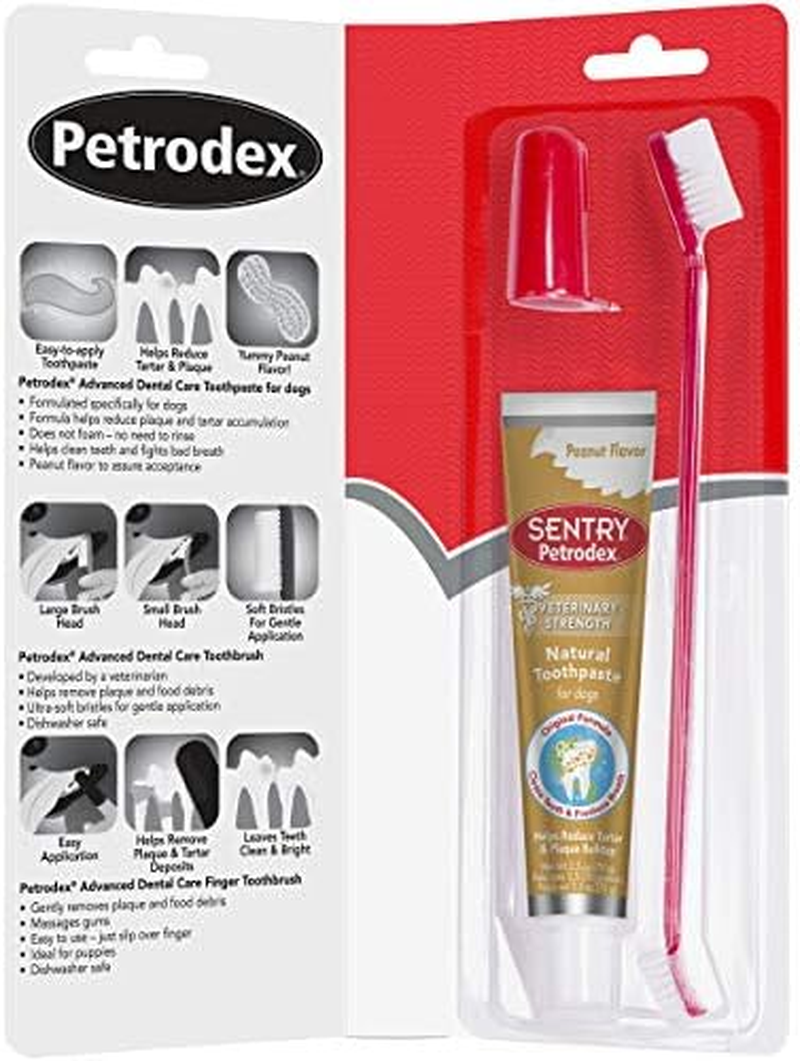 Petrodex Dental Care Kit for Dogs, Toothpaste and Toothbrushes, Peanut Flavor, 3 Piece Set image number 3