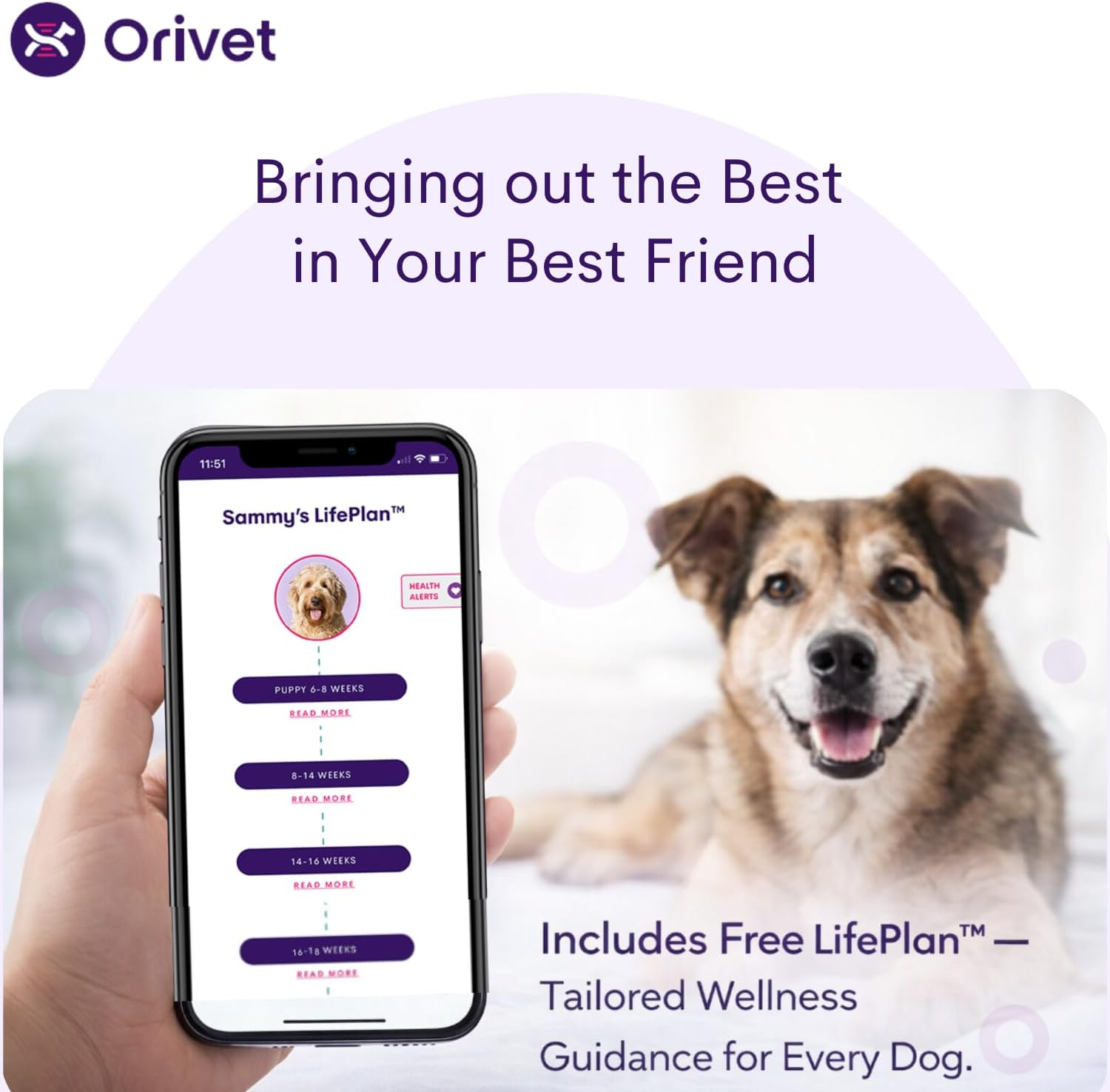 ORIVET Dog DNA Test Kit for Breed Identification & Genetic Health &ndash; 365+ Breeds, Puppy DNA Test, Mixed Breed Testing, Trait & Ancestry Report, at Home Cheek Swab, Vet Approved (ORIVET Genopet Plus) image number 2