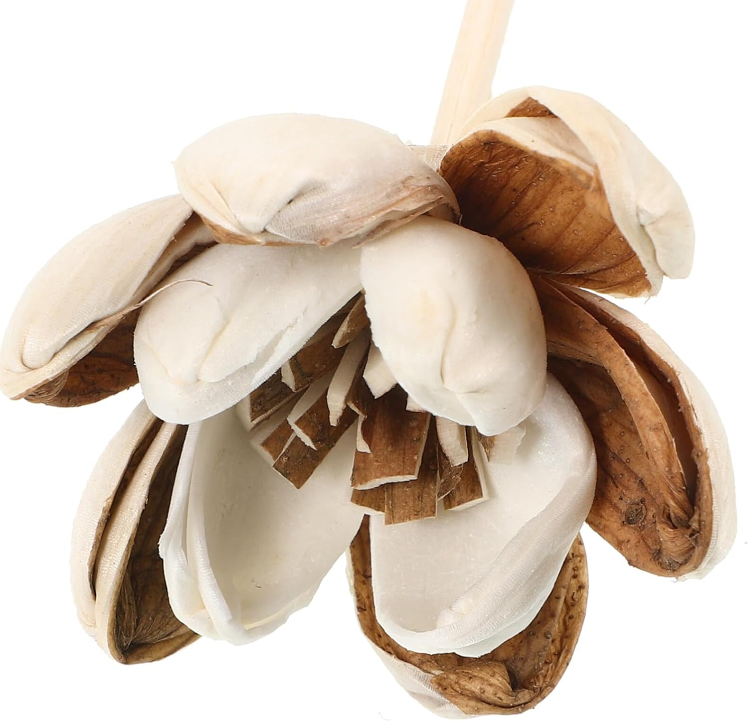 COHEALI 5Pcs Flower Decor Diffuser Sticks Aromatherapy Essential Oil Diffusers image number 2