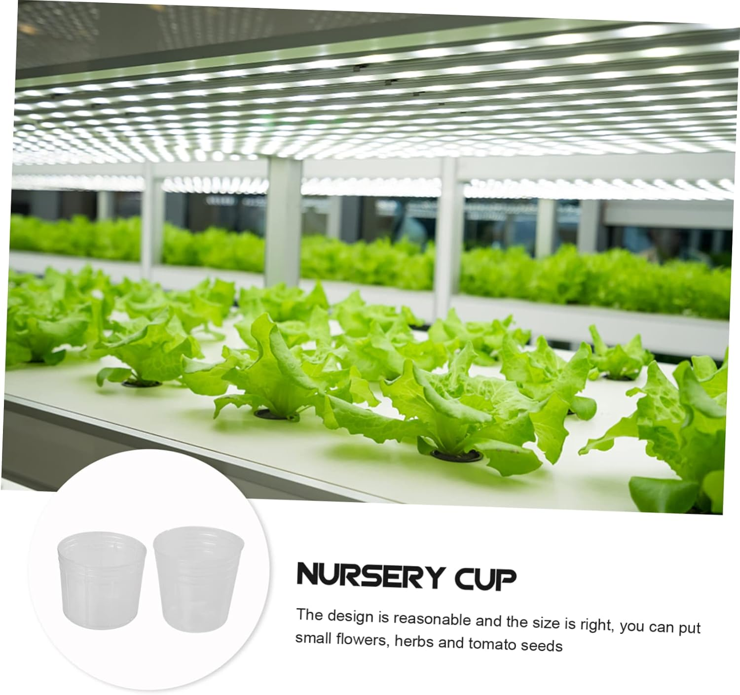 SUPVOX 50Pcs Plastic Nursery Cups with Dust Covers for Phalaenopsis Seedlings, Outdoor Planting Nutrient Pots, 1.5-Inch Gardening Containers for Orchid Propagation and Growth image number 5