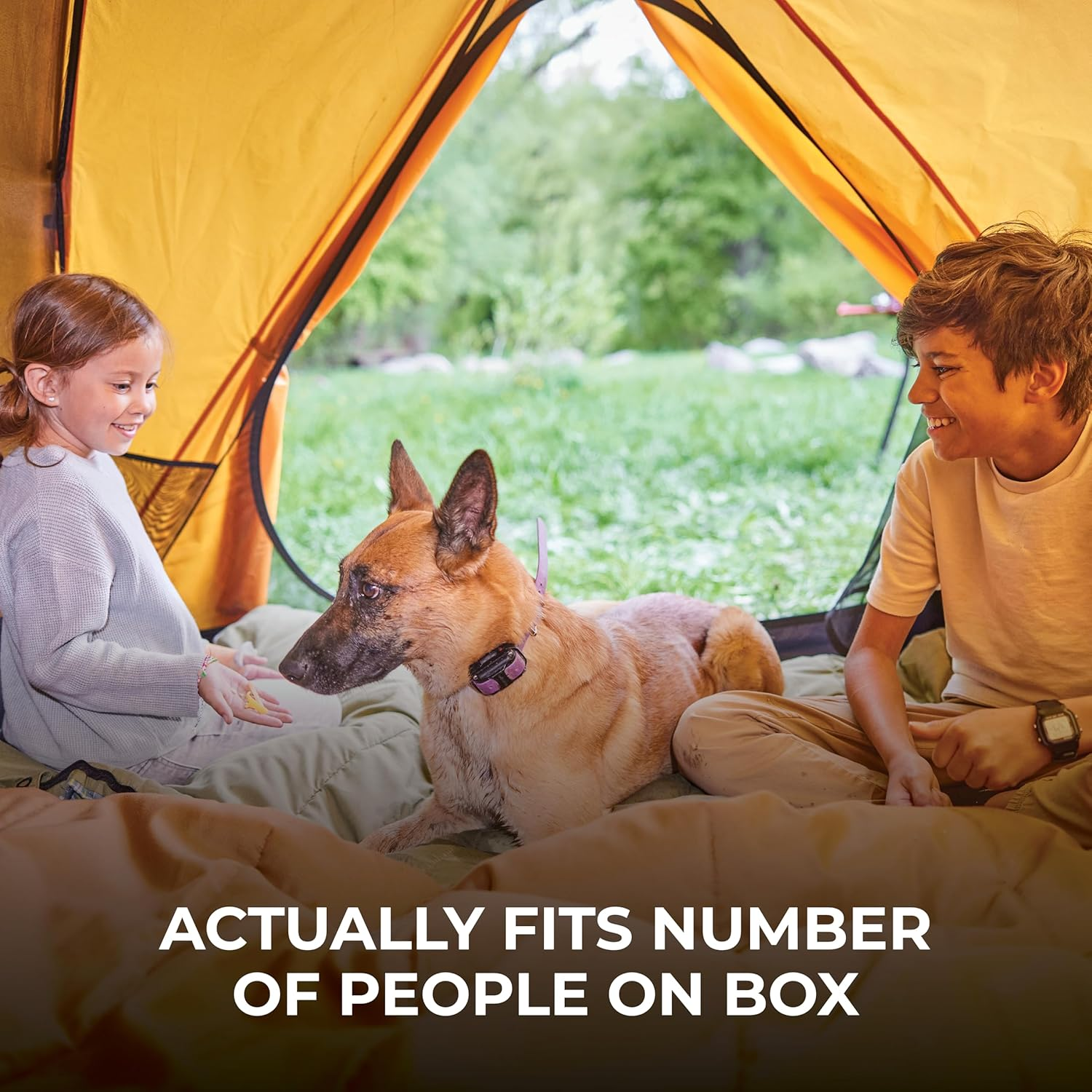 Teton Sports Mountain Ultra Tent; 1-4 Person Backpacking Dome Tent for Camping image number 4