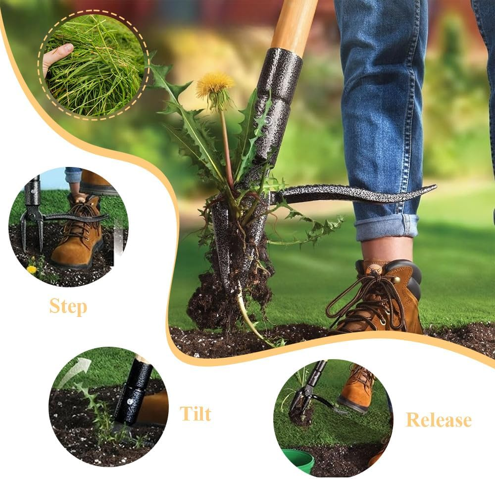 Weed Puller Tool,Stand up Weed Puller Tool,Weed Picker, Gardening Hand Weeding Tool,With Long Handle,For Garden Patio Backyard Lawn,Easy to Use,4 Claw Steel Head Weeder Tool image number 6