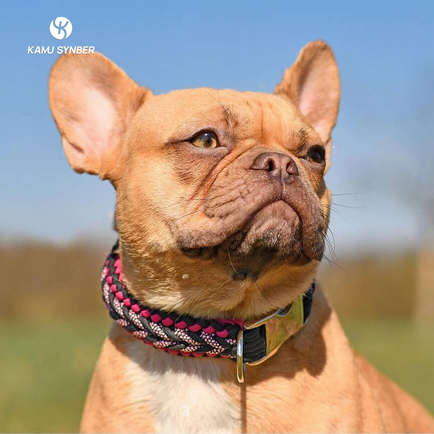 Paracord 2Mm 3 Strands 30M 100% Nylon Rope Type I Parachute Cord for Craft, Outdoor, DIY, Camping | Support 90Kg | Neon Orange image number 4