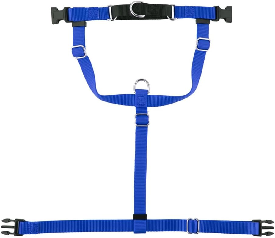 Freedom Dog Harness with Leash,Large, Medium, and Small Dog Pet Chest and Back Straps with Nylon Dog Leash Vest Style Chest and Back (Blue, S)