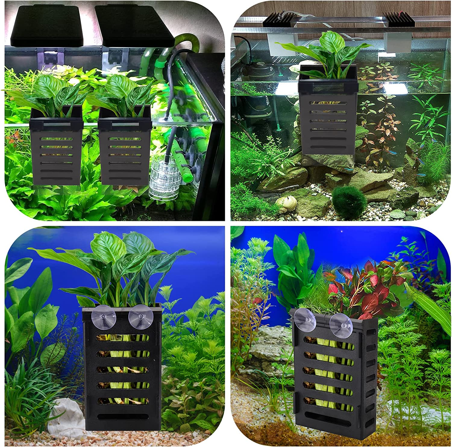 BABORUI 2 Pack Aquarium Plant Holder with Hooks and Suction Cups, Hanging Aquatic Planter Cups for Aquarium Decorations Plants, Aquarium Decor for Fish Tank Live Aquarium Plants, Black, (H-207) image number 2