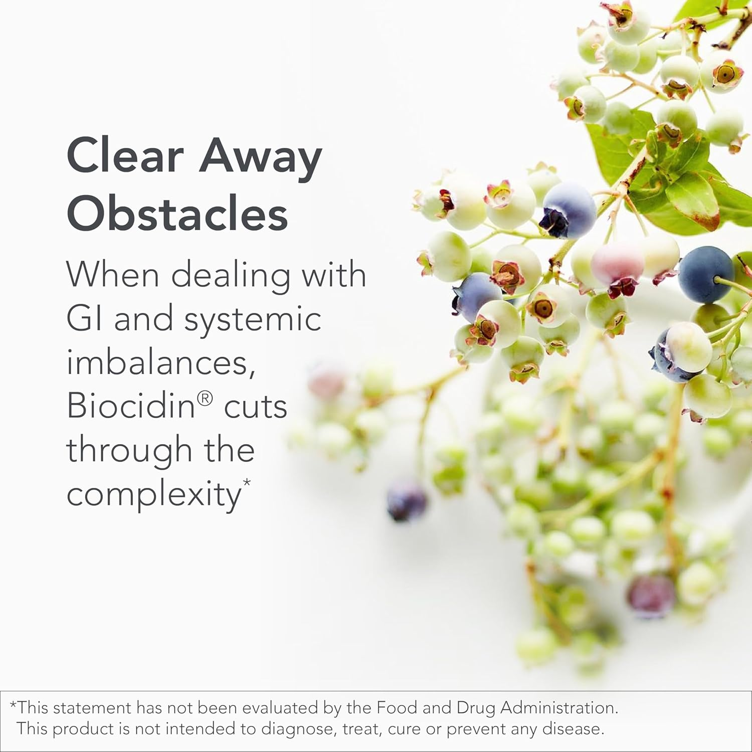 Biocidin Liquid Formula - Support GI Detox & Healthy Digestion - Herbal Intestinal Support Supplement with Gentian, Black Walnut, Garlic & More (1 Oz) image number 3