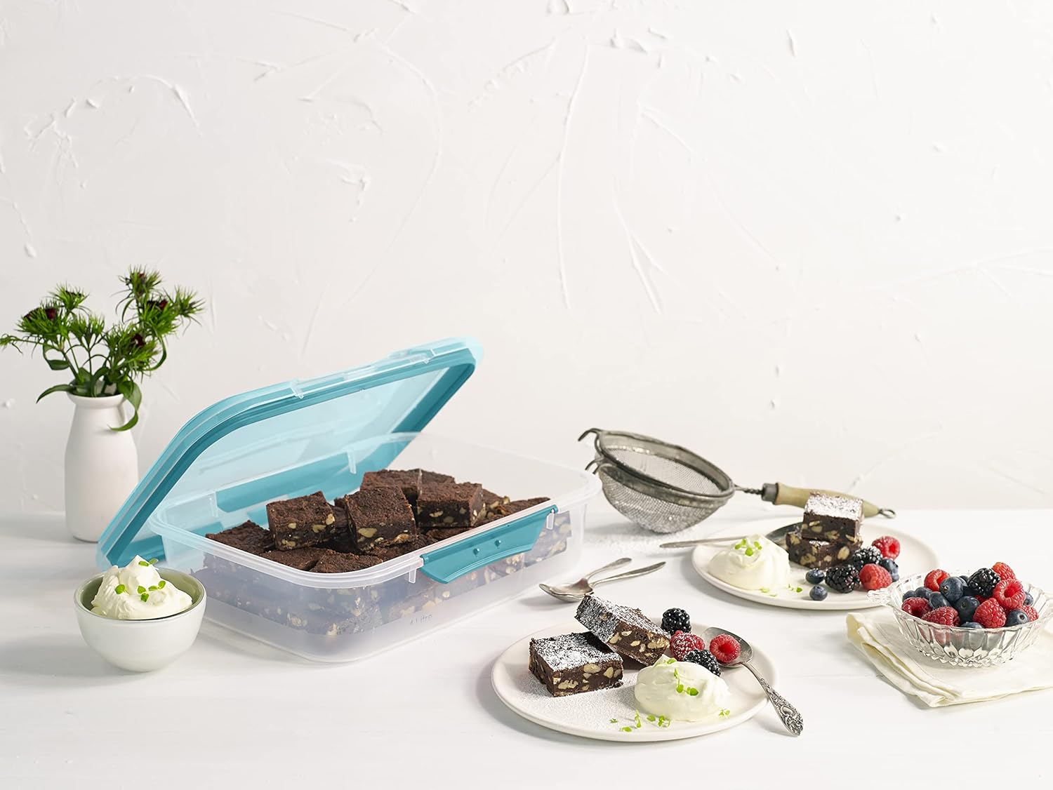 D&eacute;cor Fresh Seal Clips Oblong 4L 232410-003