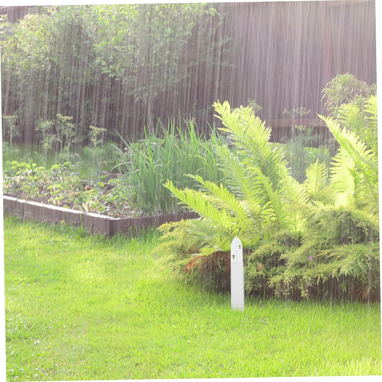 Plastic Rain Gauge Cup and Outdoor Rainfall Measuring Cylinder for Garden Use Holder, Rain Meter Container for Home Weather Monitoring image number 6