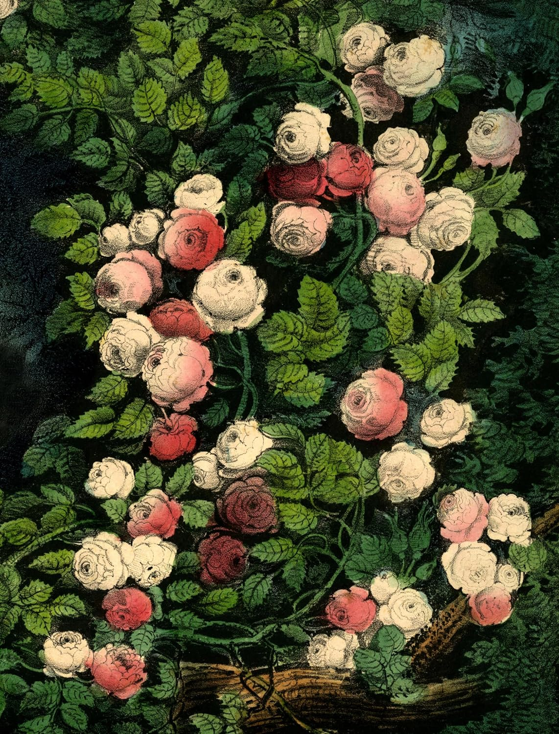 John Derian Paper Goods: Wrapping Paper & Gift Tags image number 2