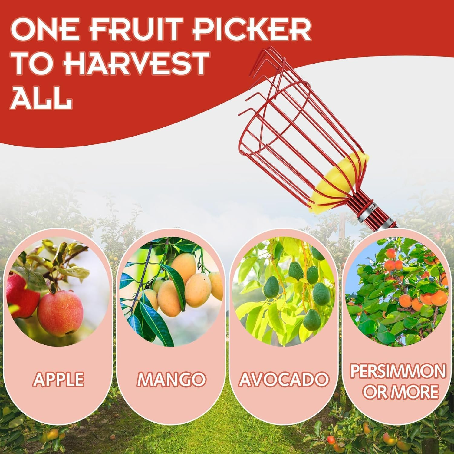 8 Ft Fruit Picker Tool,Fruit Picker Pole Adjustable Fruits Picker Too for Mango Apple Avocado Orange Cherry Pear Picking, Lightweight Sturdy Fruits Catcher with Extra Carrying Bag (1) image number 2